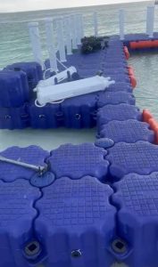 Tanzania Floating Bridge1